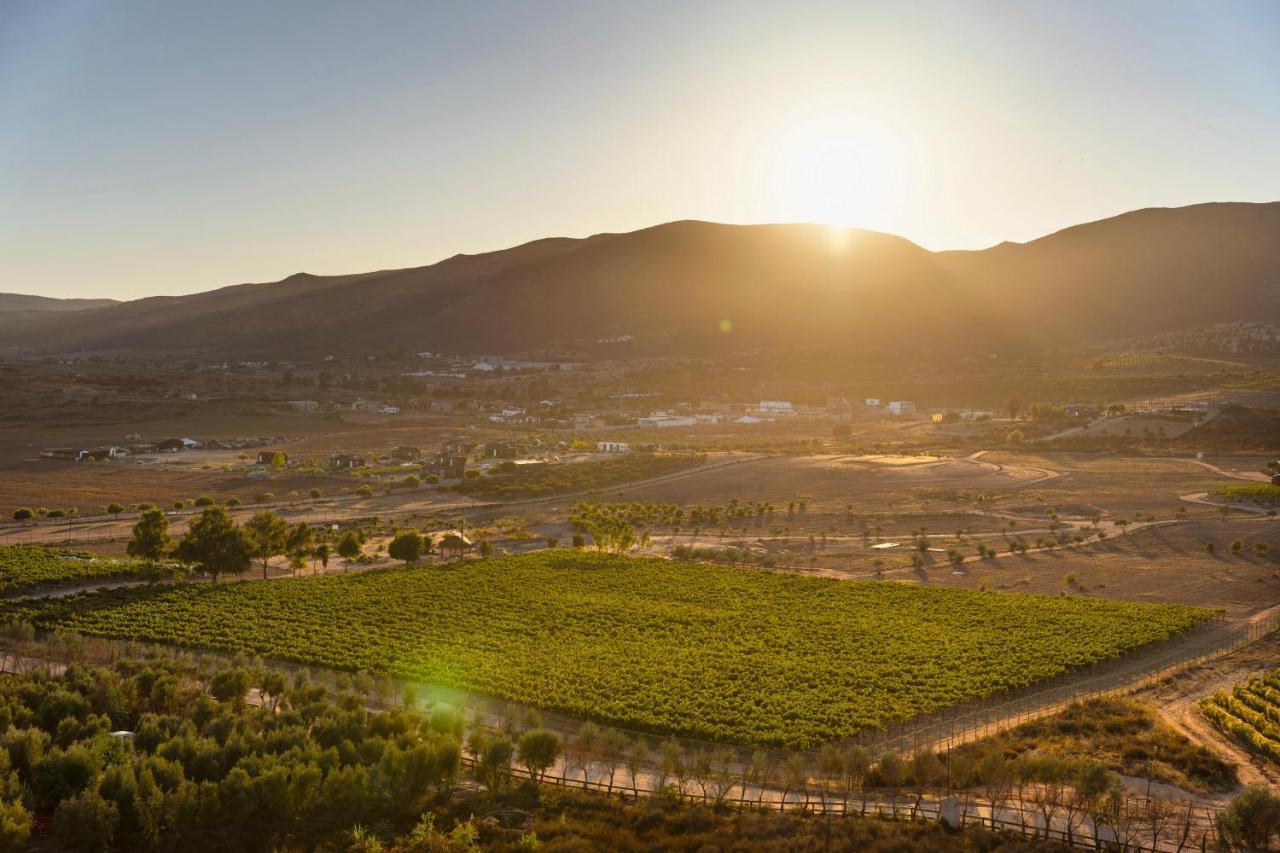 Banyan Tree Veya, Valle De Guadalupe - A Wellbeing & Wine Resort エクステリア 写真