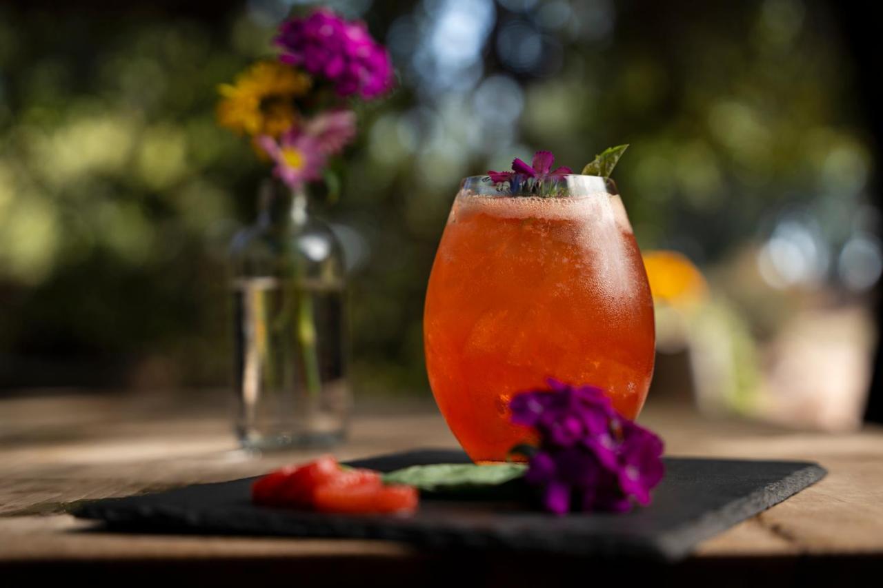 Banyan Tree Veya, Valle De Guadalupe - A Wellbeing & Wine Resort エクステリア 写真