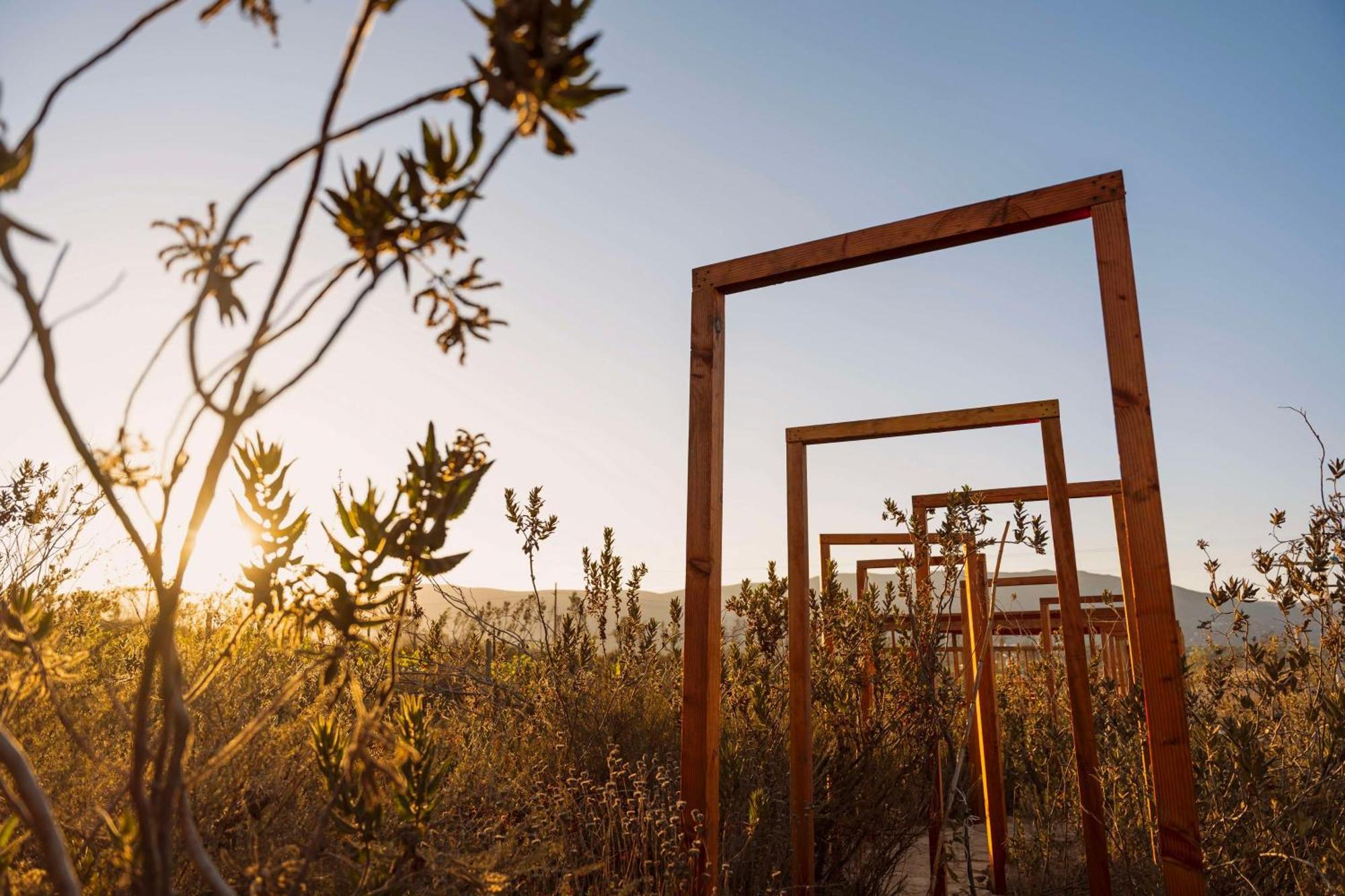 Banyan Tree Veya, Valle De Guadalupe - A Wellbeing & Wine Resort エクステリア 写真